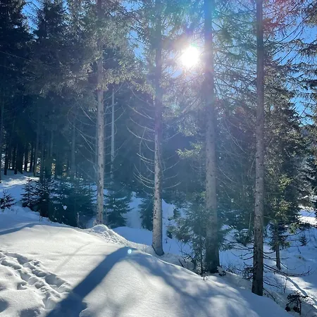 Apartament Collie Nauders