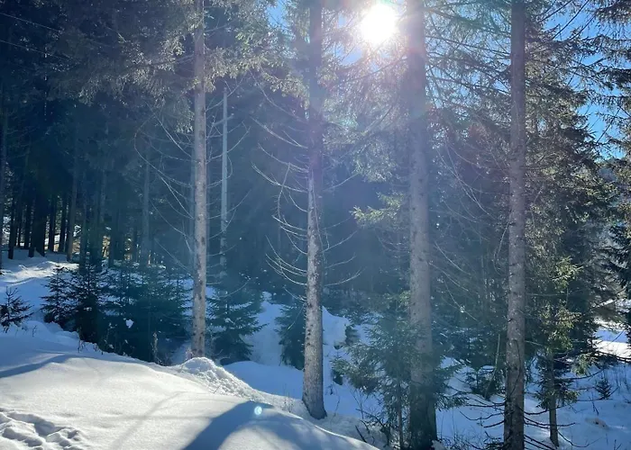 Apartament Collie Nauders